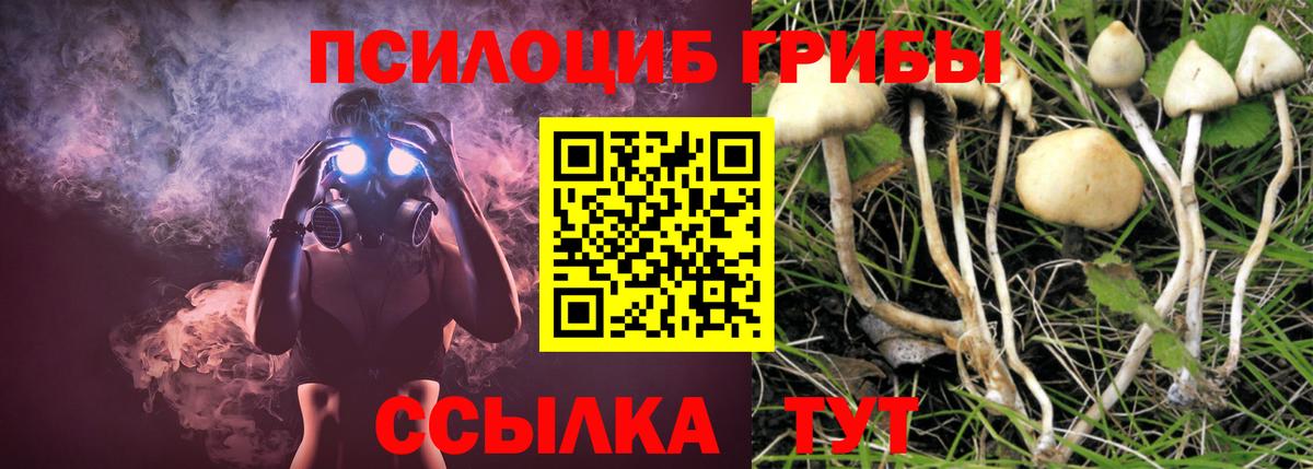 где найти   Галлюциногенные грибы мухоморы  Вход с VPN  Саянск 